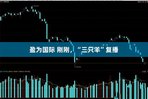 盈为国际 刚刚，“三只羊”复播