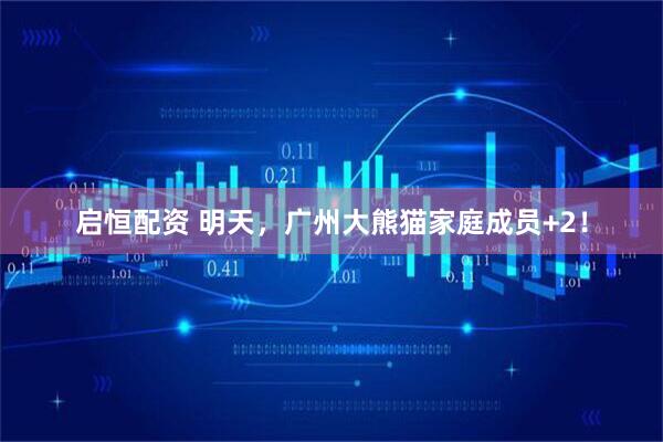 启恒配资 明天，广州大熊猫家庭成员+2！