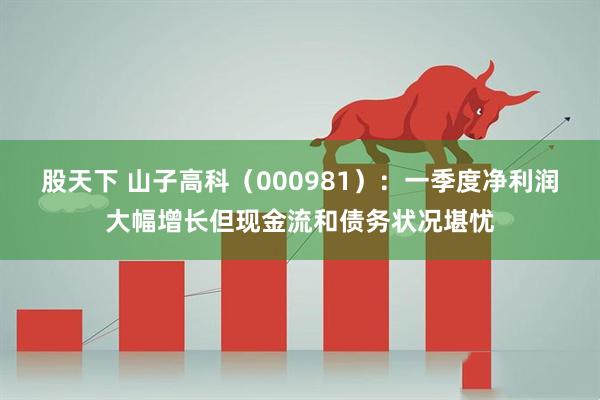 股天下 山子高科（000981）：一季度净利润大幅增长但现金流和债务状况堪忧