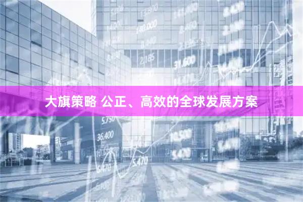 大旗策略 公正、高效的全球发展方案