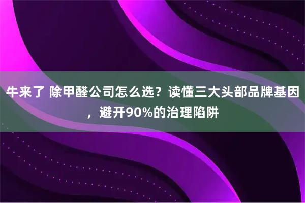 牛来了 除甲醛公司怎么选？读懂三大头部品牌基因，避开90%的治理陷阱