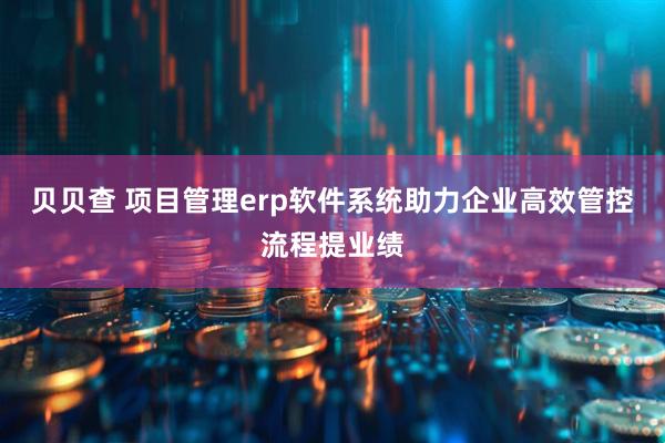 贝贝查 项目管理erp软件系统助力企业高效管控流程提业绩