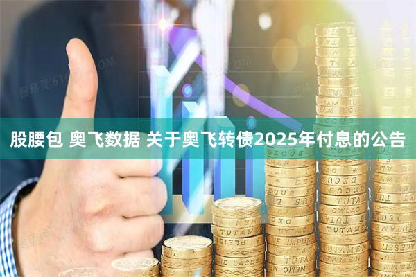 股腰包 奥飞数据 关于奥飞转债2025年付息的公告