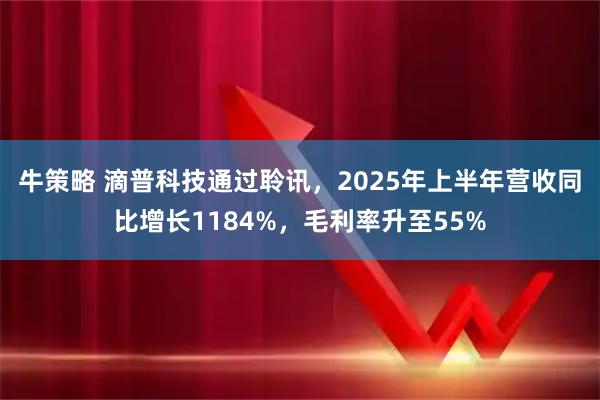 牛策略 滴普科技通过聆讯，2025年上半年营收同比增长1184%，毛利率升至55%