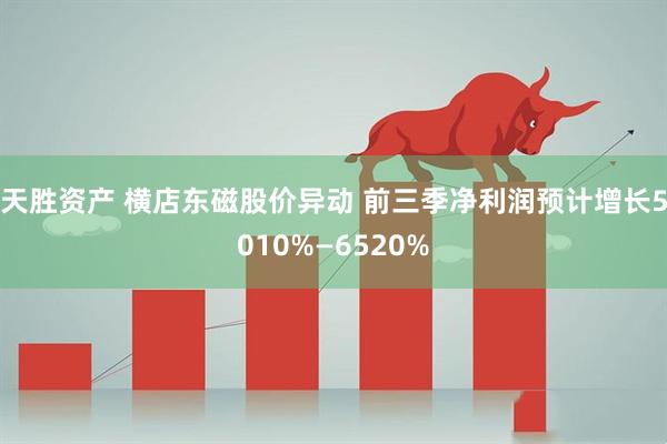 天胜资产 横店东磁股价异动 前三季净利润预计增长5010%—6520%